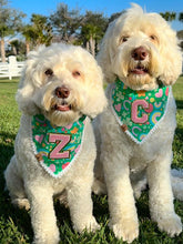 Load image into Gallery viewer, LAST CHANCE! green lucky charms dog bandana (XS only)