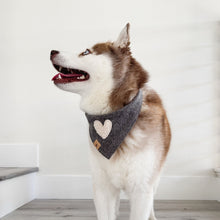 Load image into Gallery viewer, grey herringbone sherpa heart dog bandana