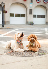 Load image into Gallery viewer, wild garden dog bandana