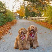 Load image into Gallery viewer, cinnamon spice flannel letterman dog bandana