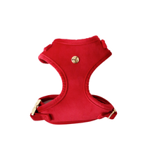 Load image into Gallery viewer, winterberry red velvet walk set bundle with harness - $106 value!