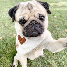 Load image into Gallery viewer, the millie dog bandana