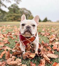 Load image into Gallery viewer, cinnamon spice flannel dog bandana