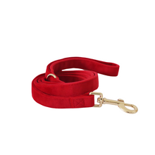 Load image into Gallery viewer, winterberry red velvet walk set bundle with harness - $106 value!