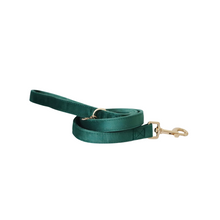 Load image into Gallery viewer, emerald green velvet walk set bundle with harness - $106 value!