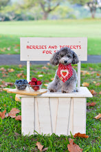 Load image into Gallery viewer, everlasting love with patch dog bandana