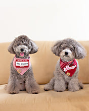 Load image into Gallery viewer, TSWIFT add-on patches