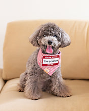 Load image into Gallery viewer, TSWIFT add-on patches