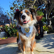 Load image into Gallery viewer, blue romance embroidered hearts dog bandana