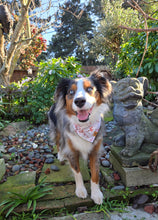 Load image into Gallery viewer, LNY barkura dog bandana