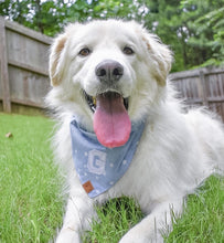 Load image into Gallery viewer, oh my stars letterman dog bandana