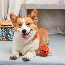 Load image into Gallery viewer, ham squeaker ball