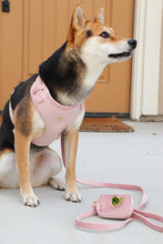 Load image into Gallery viewer, blush pink velvet walk set bundle with harness - $106 value!