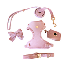 Load image into Gallery viewer, blush pink velvet walk set bundle with harness - $106 value!