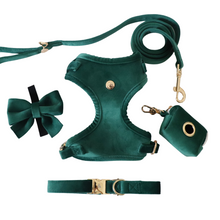 Load image into Gallery viewer, emerald green velvet walk set bundle with harness - $106 value!