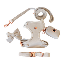Load image into Gallery viewer, pearl grey velvet walk set bundle with harness - $106 value!