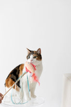 Load image into Gallery viewer, Pearhead Koi Fish Teaser Cat Wand