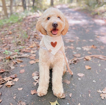 Load image into Gallery viewer, the millie dog bandana