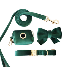 Load image into Gallery viewer, emerald green velvet walk set bundle (everything but harness) - $74 value!