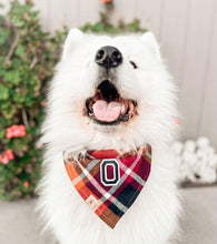Load image into Gallery viewer, cinnamon spice flannel letterman dog bandana