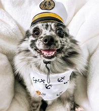 Load image into Gallery viewer, seas the day dog bandana