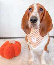 Load image into Gallery viewer, LAST CHANCE! caramel gingham dog bandana