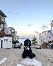 Load image into Gallery viewer, friendly ghosts dog bandana (glow in the dark!)