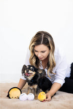 Load image into Gallery viewer, Pearhead Dog Katsu Dog Toy