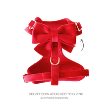 Load image into Gallery viewer, winterberry red velvet adjustable harness