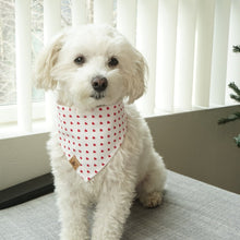 Load image into Gallery viewer, LAST CHANCE! retro hearts dog bandana