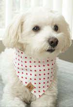 Load image into Gallery viewer, LAST CHANCE! retro hearts dog bandana
