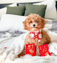 Load image into Gallery viewer, LNY lucky cat dog bandana