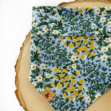 Load image into Gallery viewer, mulberry dog bandana