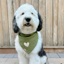 Load image into Gallery viewer, LAST CHANCE! the royce dog bandana