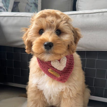Load image into Gallery viewer, puppy love dog bandana