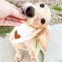 Load image into Gallery viewer, the millie dog bandana