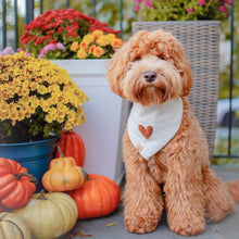 Load image into Gallery viewer, the millie dog bandana
