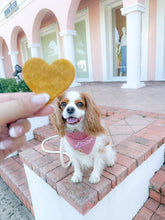 Load image into Gallery viewer, strawberry shortcake plaid with lover patch dog bandana
