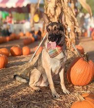 Load image into Gallery viewer, midnight amber flannel dog bandana