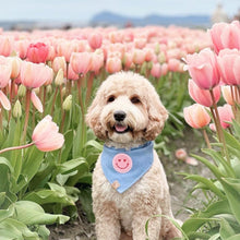 Load image into Gallery viewer, heart eyes on light denim dog bandana