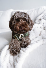 Load image into Gallery viewer, celtic plaid dog bandana