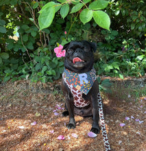 Load image into Gallery viewer, miss elliot dog bandana
