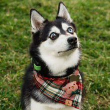 Load image into Gallery viewer, dasher's plaid letterman dog bandana