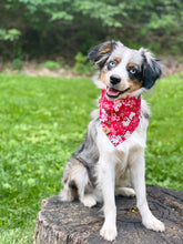 Load image into Gallery viewer, LNY cherry blossom dog bandana