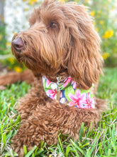 Load image into Gallery viewer, love of plumeria dog bandana
