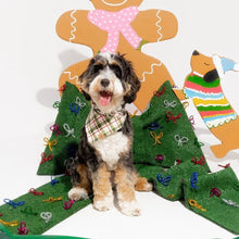 Load image into Gallery viewer, noel's plaid dog bandana