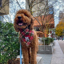 Load image into Gallery viewer, holiday plaid letterman dog bandana