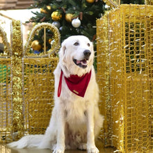Load image into Gallery viewer, winterberry red velvet dog bandana