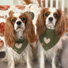 Load image into Gallery viewer, LAST CHANCE! the royce dog bandana