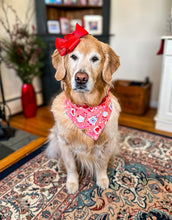 Load image into Gallery viewer, be my gnome dog bandana